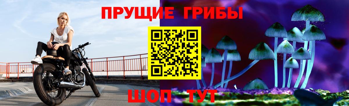 Псилоцибиновые грибы Psilocybe  Вход с VPN  Реж 